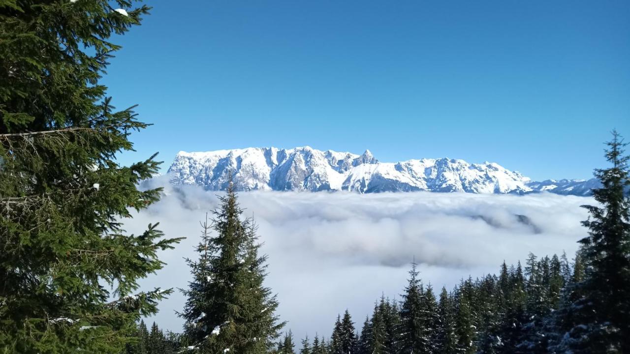 Appartmenthaus Hochkoenig Mühlbach am Hochkönig 외부 사진