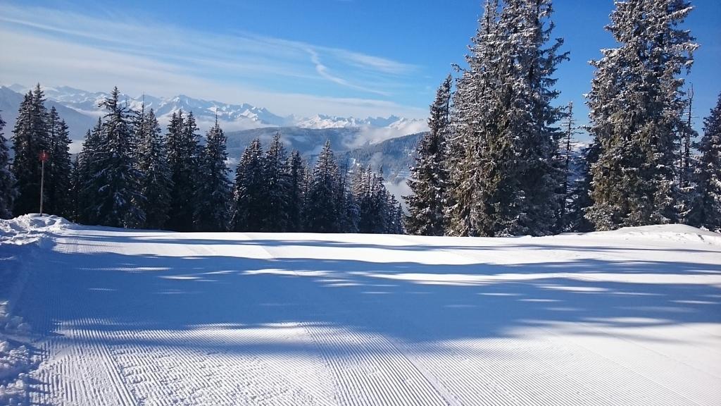 Appartmenthaus Hochkoenig Mühlbach am Hochkönig 외부 사진