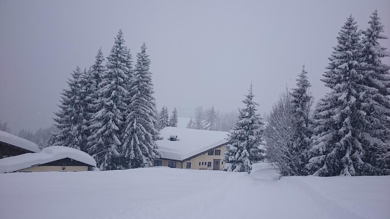 Appartmenthaus Hochkoenig Mühlbach am Hochkönig 외부 사진