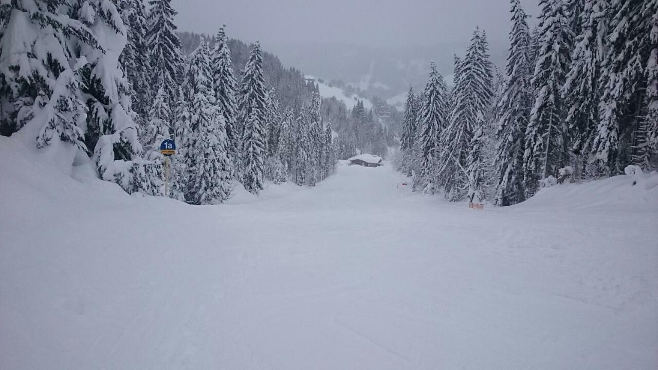 Appartmenthaus Hochkoenig Mühlbach am Hochkönig 외부 사진